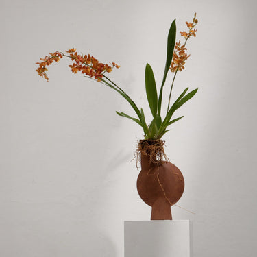 Sphere Vase Bubl - Medio -Terracotta