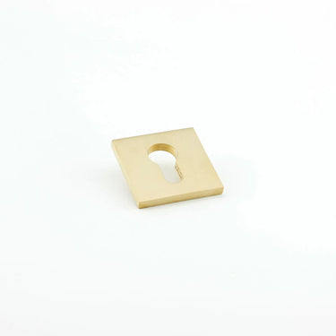 Hard & Ware Keyhole Escutcheon SQEE1